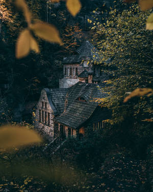Old Stone House Forest Wallpaper