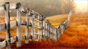 Old White Country Fence In Autumn Wallpaper