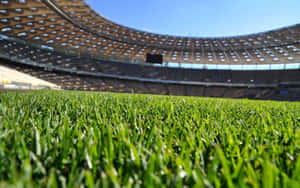 Olimpiyskiy National Sports Complex Football Field Wallpaper