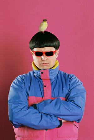 Oliver Tree With Yellow Bird Wallpaper