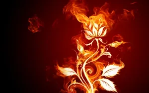 On Fire Flower Wallpaper