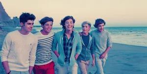 One Direction In The Beach Wallpaper