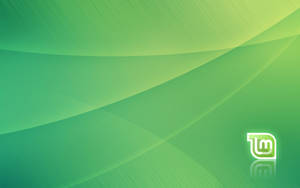Operating System Linux Mint Green Abstract Logo Wallpaper