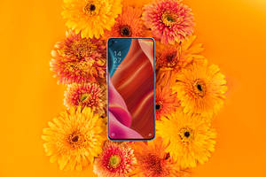 Oppo Smartphone And Flourishing Flora Wallpaper