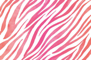 Orange And Pink Zebra Print Pattern Wallpaper