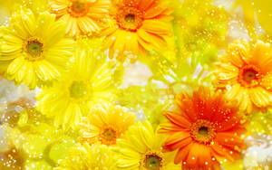 Orange And Yellow Gerbera Abstract Wallpaper