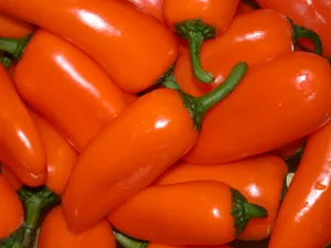 Orange Chili Pepper Fruits Pile Wallpaper