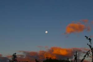 Orange Clouds And Moon Desktop Wallpaper