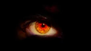 Orange Eye Closeup In The Dark Wallpaper