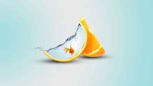 Orange Fish Aquarium Abstract Art Wallpaper