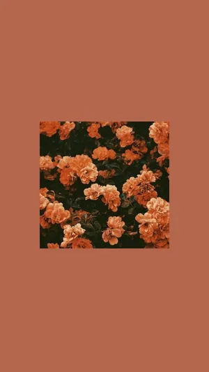 Orange Grunge Floral Aesthetic.jpg Wallpaper