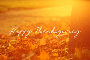 Orange Sunlight Happy Thanksgiving Day Wallpaper