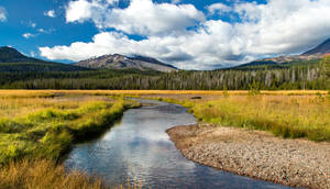 Oregon Soda Creek Wallpaper