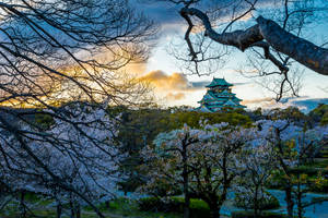 Osaka Castle Picturesque View Wallpaper