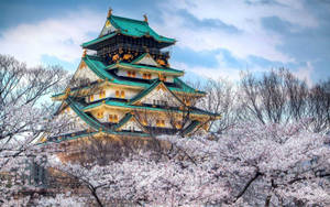 Osaka Castle Temple Architecture Wallpaper