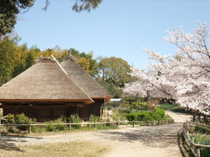 Osaka Japanese Farm House Wallpaper