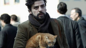 Oscar Isaac Holding A Cat Wallpaper