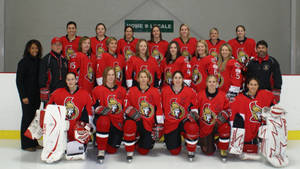 Ottawa Lady Senators Group Shot Wallpaper