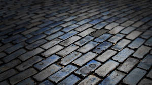 Outdoor Brick Road Wallpaper