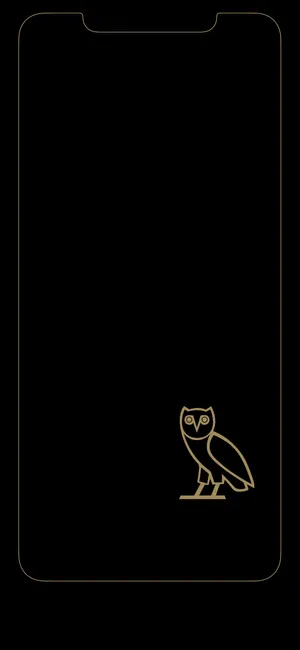 Ovoxo Black And Gold Wallpaper