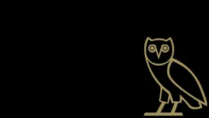 Ovoxo, The Modern Fashion And Lifestyle Brand Wallpaper