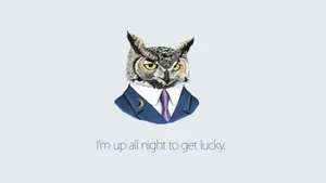 Owl, Art, Inspiration Wallpaper