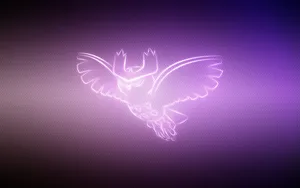Owl, Pokemon, Noctowl Wallpaper