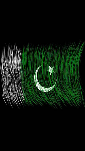 Pakistan Logo In Grass Wallpaper