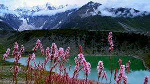 Pakistan Soothing Nature Wallpaper