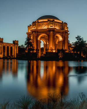 Palace Of Fine Arts Lights Wallpaper