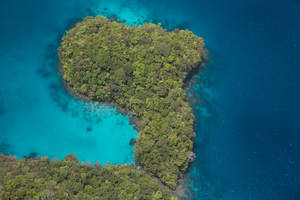Palau Luscious Green Island Wallpaper