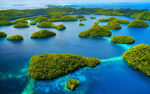 Palau Wonderful Islands Wallpaper