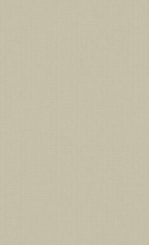Pale Aesthetic Beige Wallpaper