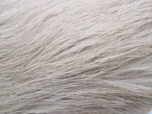Pale White Animal Fur Wallpaper
