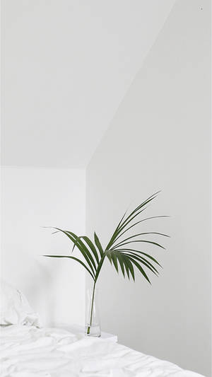 Palm Leaf In Cute White Aesthetic Room Wallpaper