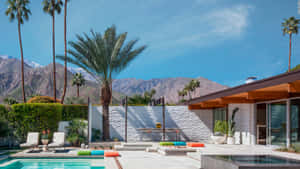 Palm Springs Desert Resort City Wallpaper