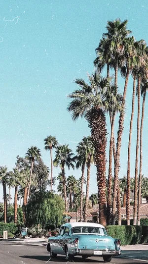 Palm Springs Road Wallpaper