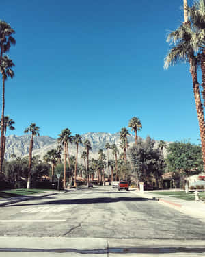 Palm Springs Street Wallpaper
