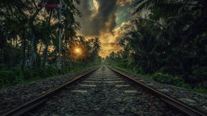 Palm Tree Sunset Railroad Track Wallpaper