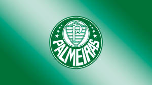 Palmeiras Hd Gradient Wallpaper