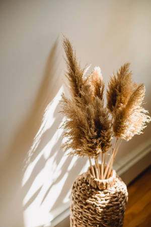 Pampas Grass Plant Aesthetic Wallpaper