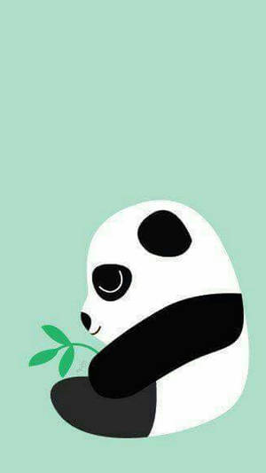 Panda On Pastel Green Wallpaper