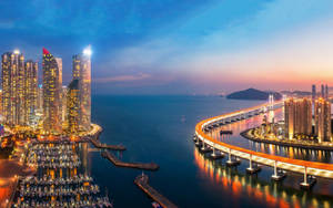 Panoramic Busan Port Cityscape Wallpaper