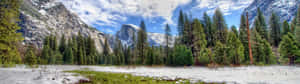 Panoramic Spring Dual Screen Wallpaper
