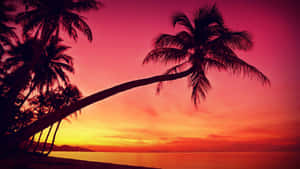 Paradise Awaits - Spectacular View Of Sunset Over A Beach Wallpaper