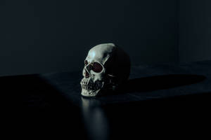 Paranormal Dark Anime Skull Wallpaper