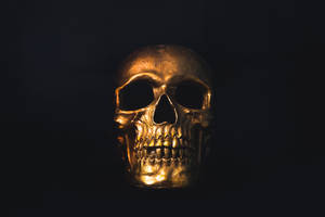 Paranormal Spooky Gold Skull Decor Wallpaper