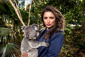 Parineeti Chopra With Koala Wallpaper