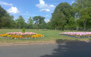 Park Garden In Birmingham City Wallpaper