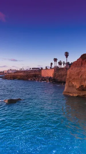 Park In San Diego Iphone Wallpaper